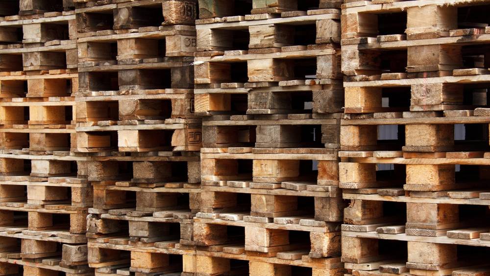 REP emballages professionnels : Citeo Pro met en lumière les enjeux d’une filière stratégique