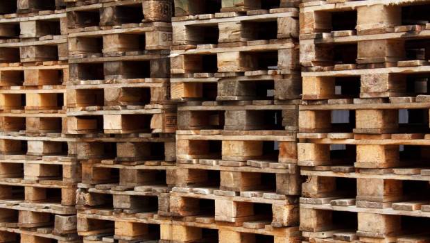 REP emballages professionnels : Citeo Pro met en lumière les enjeux d’une filière stratégique