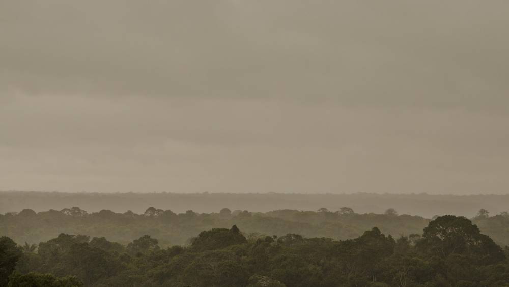 Tribune | COP30 : la transition juste reconnue, l’ambition et la finance sacrifiées  