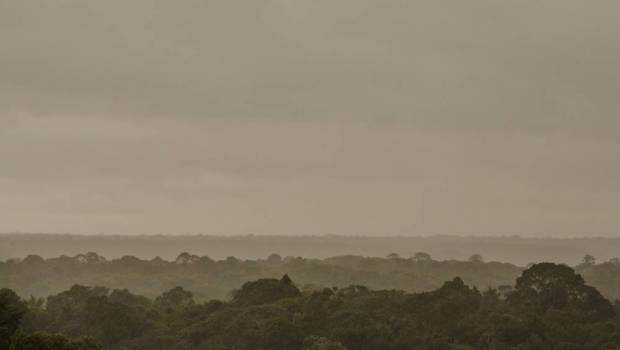 Tribune | COP30 : la transition juste reconnue, l’ambition et la finance sacrifiées  