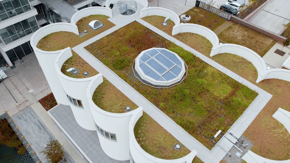 Des toitures qui recyclent les eaux grises : Soprema lauréat d’Innov’Eau