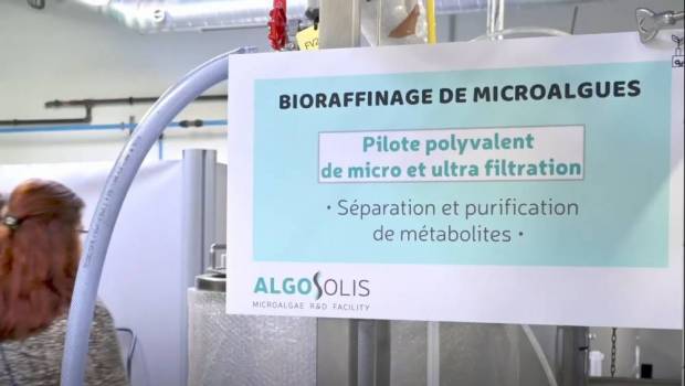 À l’IMT Atlantique, les microalgues, moteur des biocarburants pour transport aérien et maritime