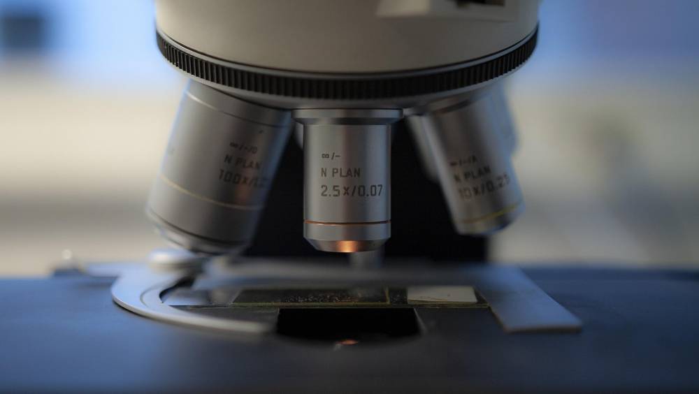 Des bactéries pour s’attaquer aux PFAS : la piste explorée à Strasbourg