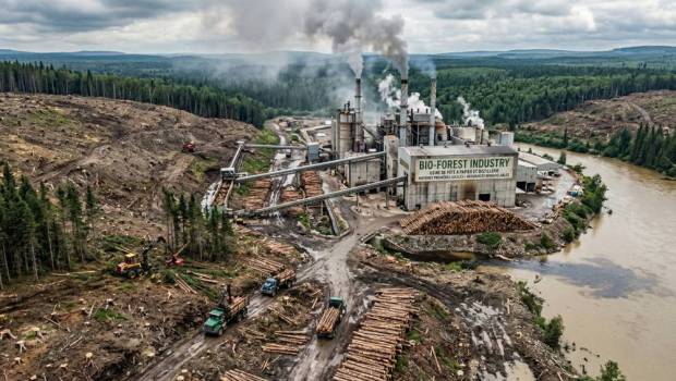 Indice NAT 40 :  biodiversité et économie, même combat