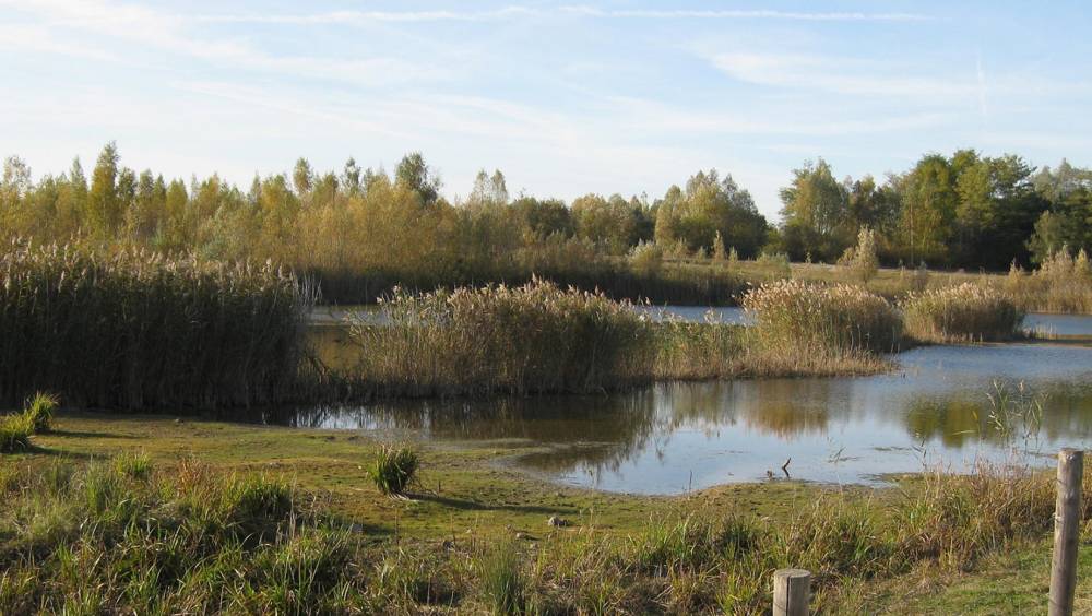 Plan d'eau : le Conseil d’État protège les zones humides et sanctionne l’État