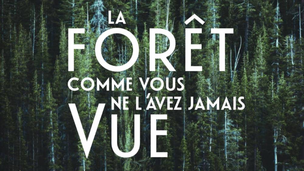 Le livre qui révèle tout ce que la forêt représente pour notre avenir