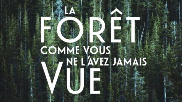 Le livre qui révèle tout ce que la forêt représente pour notre avenir