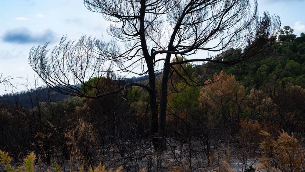 Feux de forêt : la Ville d’Anglet déploie un système de détection précoce via l’UGAP