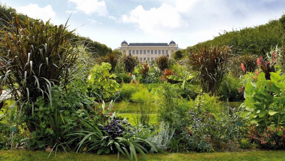 La Fondation Crédit Mutuel devient Grand Mécène du Muséum