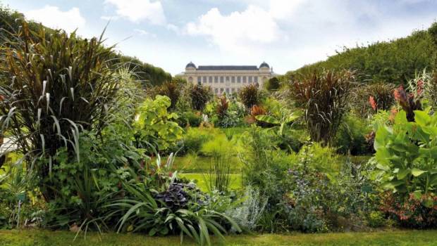 La Fondation Crédit Mutuel devient Grand Mécène du Muséum
