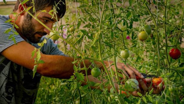 Baromètre de l'installation agricole : les projets d'installation et de transmission